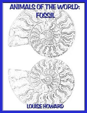 Animals of the world: Fossil by Louise Howard