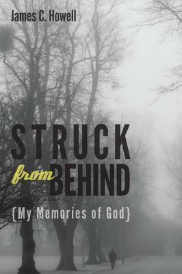 Struck from Behind: My Memories of God by James C. Howell