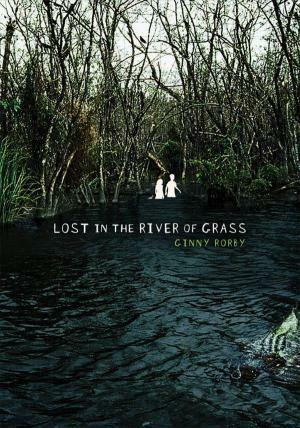 Lost in the River of Grass by Ginny Rorby