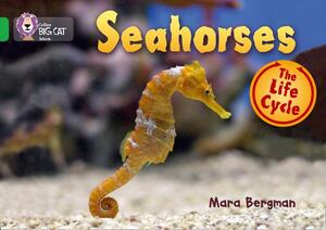 Seahorses by Mara Bergman