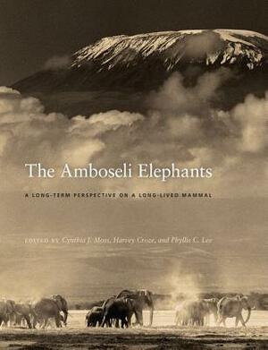 The Amboseli Elephants: A Long-Term Perspective on a Long-Lived Mammal by Phyllis C. Lee, Harvey Croze, Cynthia Moss