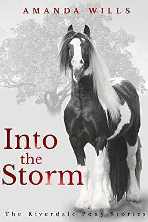 Into the Storm by Amanda Wills