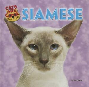 Siamese by Ruth Owen