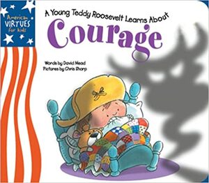 Little Teddy Learns a Lesson in Courage: Courage by David Mead