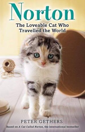 Norton, the Loveable Cat Who Travelled the World by Peter Gethers, Peter Gethers