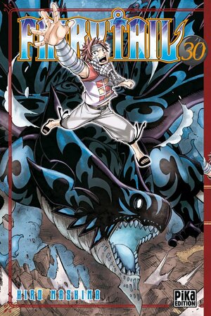 Fairy Tail, Tome 30 by Hiro Mashima