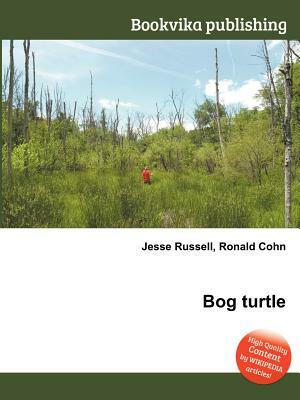 Bog Turtle by 