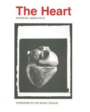 The Heart by 