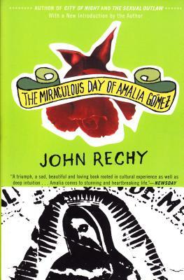 The Miraculous Day of Amalia Gómez by John Rechy