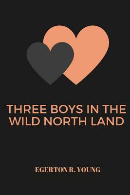 Three Boys in the Wild North Land by Egerton R. Young