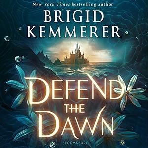 Defend the Dawn by Brigid Kemmerer