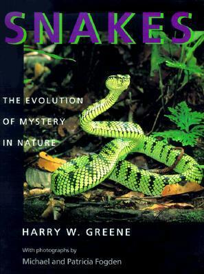 Snakes: The Evolution of Mystery in Nature by Harry W. Greene, Michael Fogden, Patricia Fogden