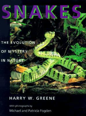 Snakes: The Evolution of Mystery in Nature by Michael Fogden, Harry W. Greene, Patricia Fogden