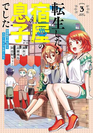 転生したら宿屋の息子でした田舎街でのんびりスローライフをおくろう(3)(完), المجلد 3 by 阿倍野ちゃこ, 高瀬飛鳥, 錬金王
