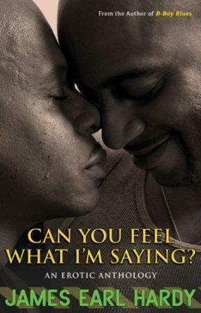 Can You Feel What I'm Saying?: An Erotic Anthology by James Earl Hardy