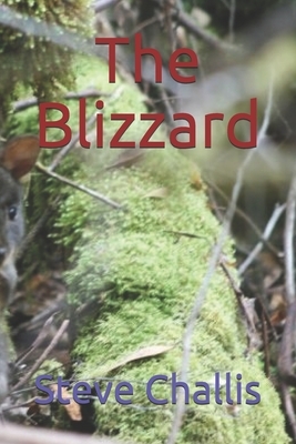 The Blizzard by Steve Challis