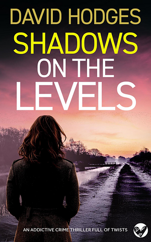 Shadows On The Levels by David Hodges