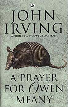 Malda už Oveną Minį by John Irving
