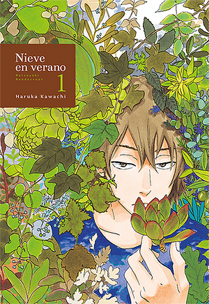 Nieve en Verano, Vol. 1 by Haruka Kawachi