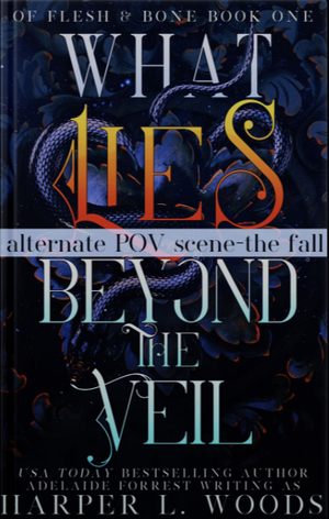 What Lies Beyond The Veil - Bonus POV by Harper L. Woods