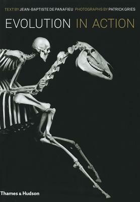 Evolution in Action: Natural History Through Spectacular Skeletons by Patrick Gries, Jean-Baptiste de Panafieu