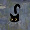 cbellorin's profile picture