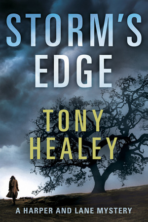 Storm's Edge by Tony Healey