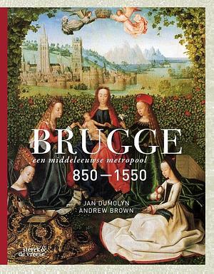 Brugge. Een middeleeuwse metropool 850-1550 by Jan Dumolyn, Andrew Brown