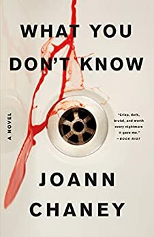 What You Don't Know by JoAnn Chaney