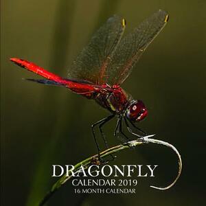 Dragonfly Calendar 2019: 16 Month Calendar by Mason Landon