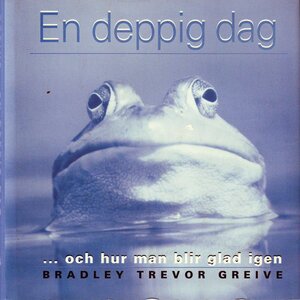 En deppig dag: Och hur man blir glad igen by Bradley Trevor Greive