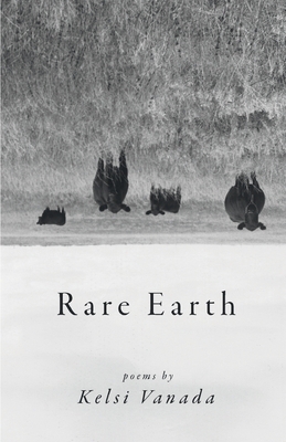 Rare Earth by Kelsi Vanada