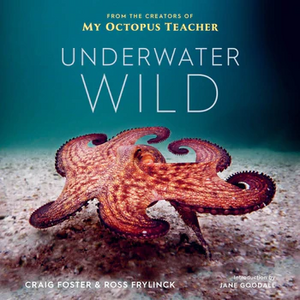 Underwater Wild: My Octopus Teacher's Extraordinary World by Ross Frylinck, Craig Foster