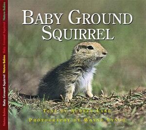 Baby Ground Squirrel by Aubrey Lang