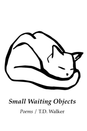 Small Waiting Objects by T.D. Walker