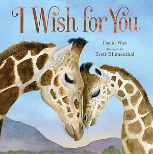 I Wish for You by David Wax, Brett Blumenthal