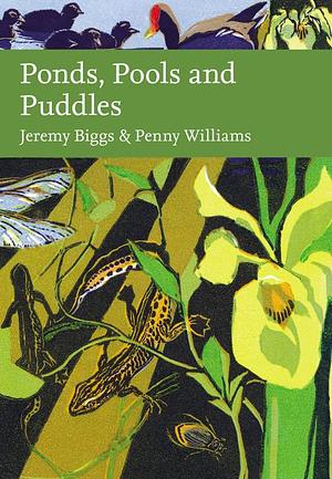 Ponds, Pools and Puddles by Penny Williams, Jeremy Biggs