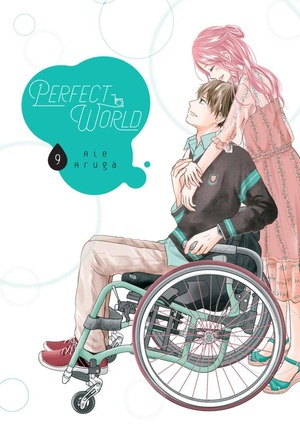 Perfect World, Volume 9 by Rie Aruga