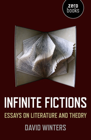 Infinite Fictions: Essays on Literature and Theory by David Winters