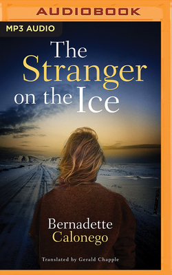 The Stranger on the Ice by Bernadette Calonego