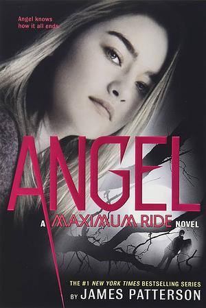 Angel by James Patterson