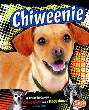 Chiweenie: A Cross Between a Chihuahua and a Dachshund by Molly Kolpin