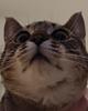 tildhe's profile picture