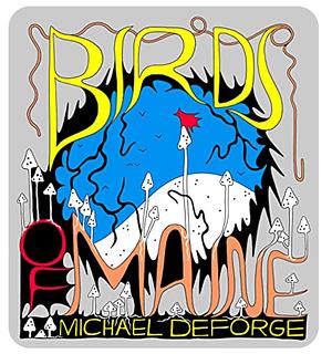 Birds of Maine by Michael DeForge