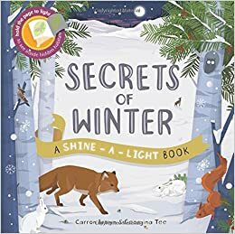 Secrets of Winter: A Shine-a-light book by Carron Brown, Georgina Tee