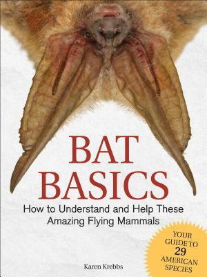 Bat Basics: How to Understand and Help These Amazing Flying Mammals by Karen Krebbs