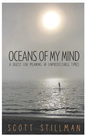 Oceans Of My Mind: A Quest For Meaning In Unpredictable Times by Scott Stillman