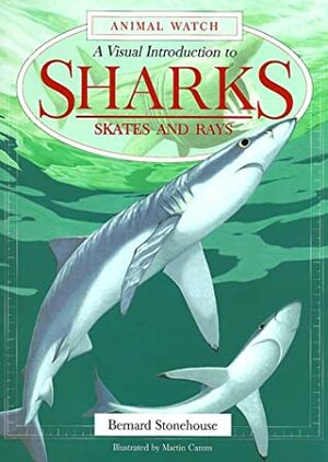 A Visual Introduction To Sharks, Skates And Rays by Bernard Stonehouse