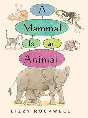 A Mammal is an Animal by Lizzy Rockwell, Lizzy Rockwell