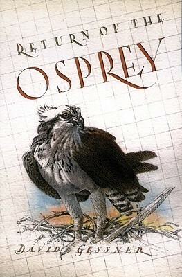 Return of the Osprey: A Season of Birds, Flight, and Wonder by David Gessner